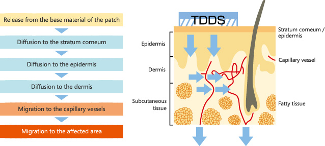 TDDS（経皮薬物送達システム）のしくみ