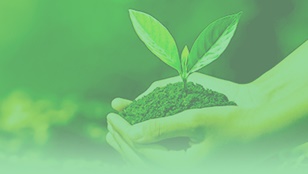 Hisamitsu Pharmaceutical Group Environmental Policy